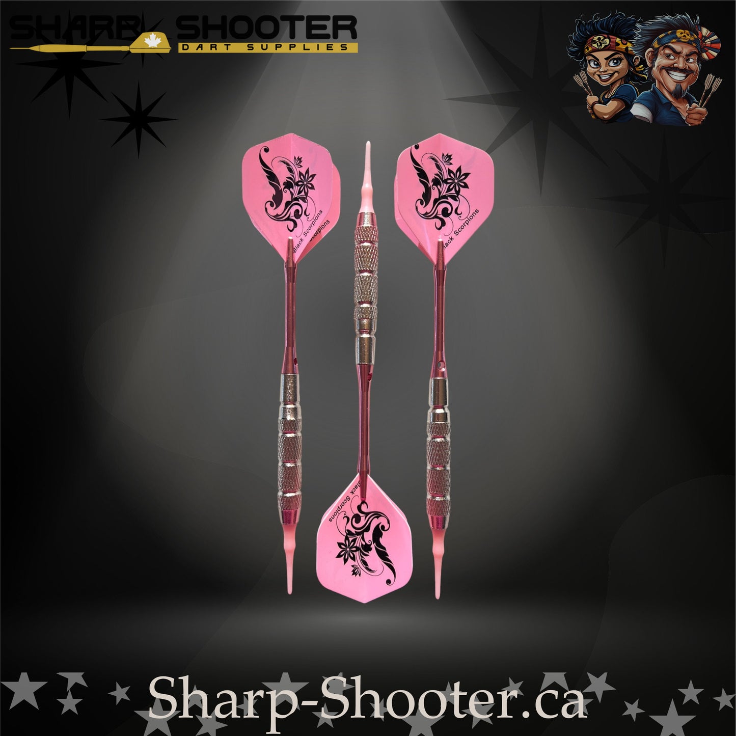 Fairytale steel tip dart set featuring pink floral flights, pink metallic shafts, and silver textured barrels.