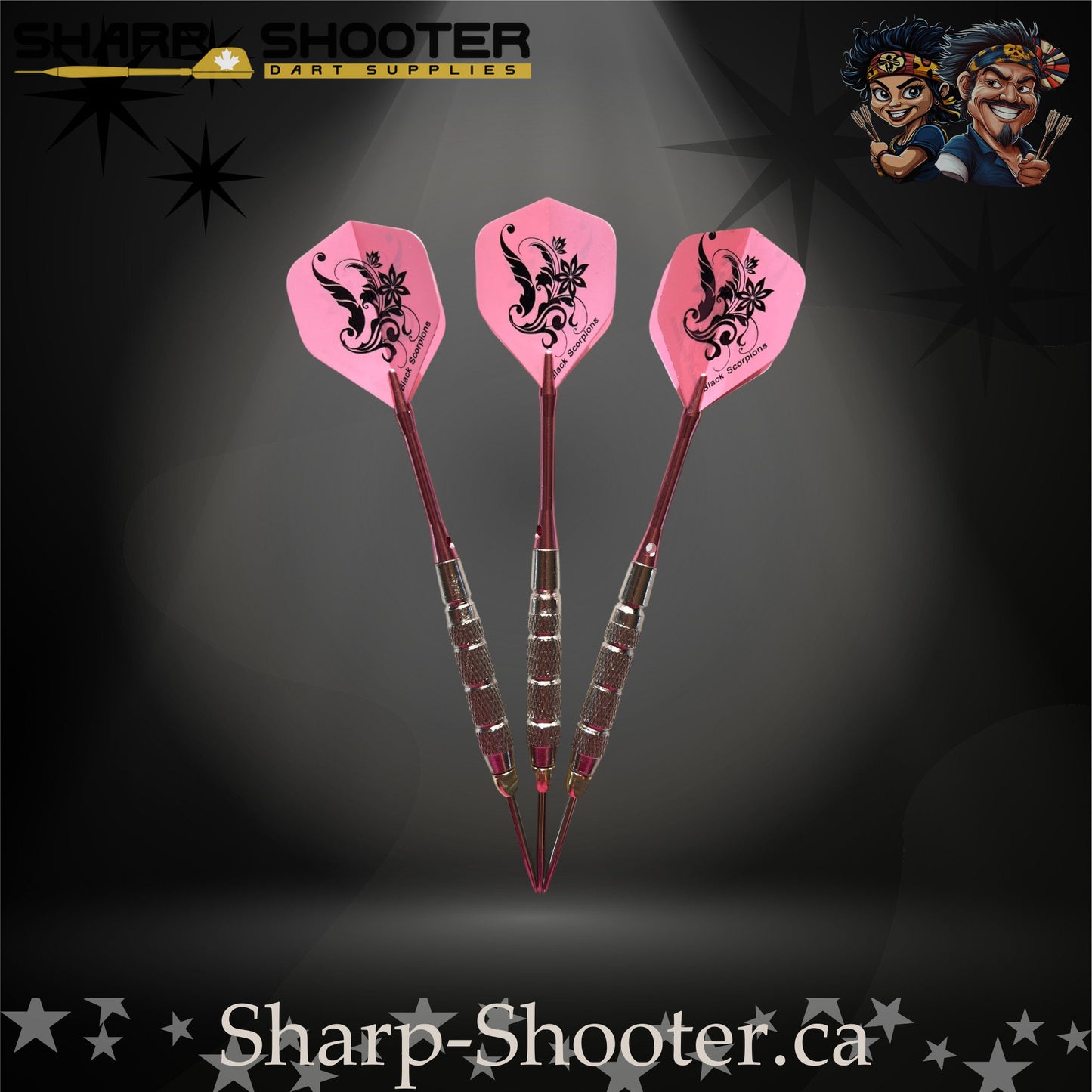Fairytale steel tip dart set featuring pink floral flights, pink metallic shafts, and silver textured barrels.