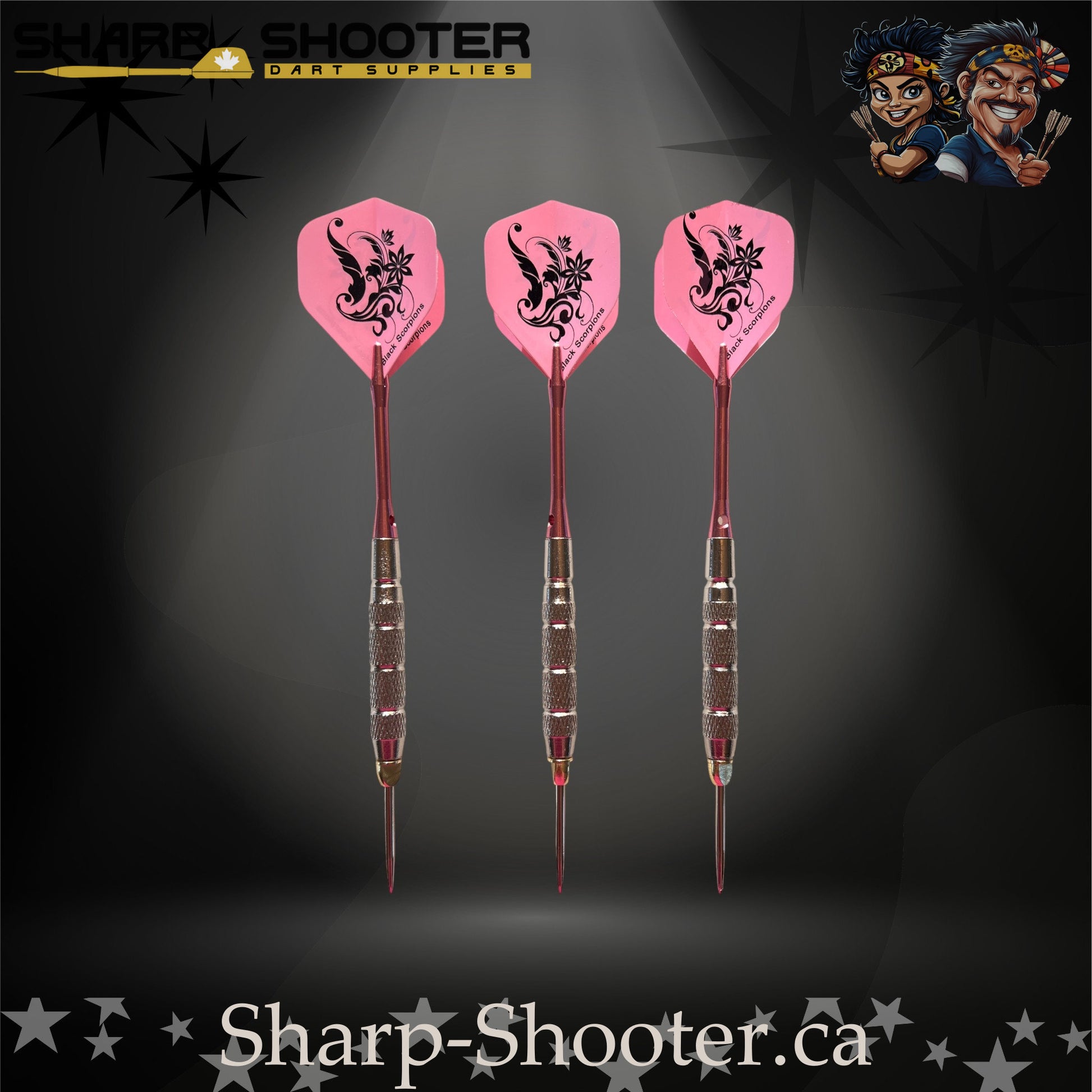 Fairytale steel tip dart set featuring pink floral flights, pink metallic shafts, and silver textured barrels.